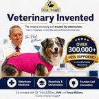 SurgiSnuggly Veterinary Invented Dog Surgical Recovery Suit for Female Spay or Male Dogs Neuters,Cone Alternative, Original Dog Onesie Bodysuit for After Surgery Small, Medium, Large Dogs LG Pi EC