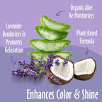 earthbath Lavender Dog Shampoo, Deodorizing Dog Wash, 16 Oz (1 Pack) | Coat Brightening Shampoo for Dogs, Made in USA, Cruelty Free Pet Shampoos