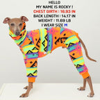 D Doggy Star Italian Greyhound Sweater Turtleneck Outfit Nordic Fleece Onesie Clothes Whippet for Dog Coat (S,Orange Nordic)