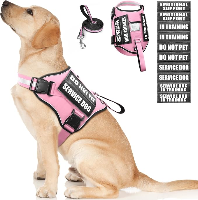 Service Dog Harness and Leash Set, Training Dog Vest with 10 Dog Patches, Emotional Support Therapy Dog Vest Harness for Small Medium Large and Extra Large Dogs(Pink, L)