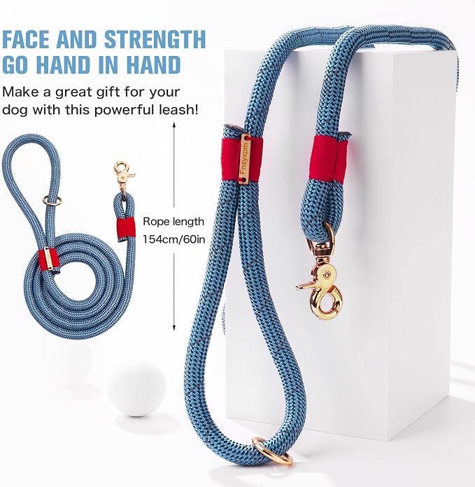 Nylon Rope Dog Leash, Blue, 5 FT - 3/5" | Reflective, Handmade Braided, Heavy Duty, For Medium Large Dogs