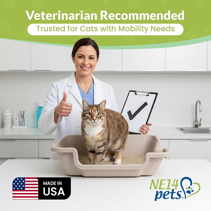KittyGoHere 2.0 Easy Entry Cat Litter Box with Scoop, Large Misty Gray | Large Open - Top Low Entrance Litter Pan With Higher Sides & Durable Long-handle Jumbo Scoop for Easy Cleaning, Made in USA