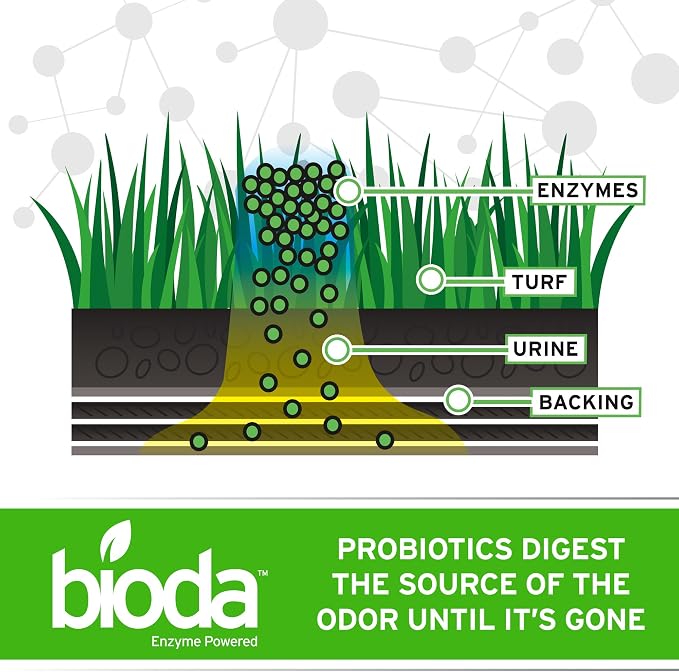 Bioda Probiotic Natural Outdoor Odor Eliminator, 1 gal Refill, Enzyme | Enzyme Cleaner Destroys Cat & Dog Odor, Neutralizer for Lawn, Artificial Grass, and Patios