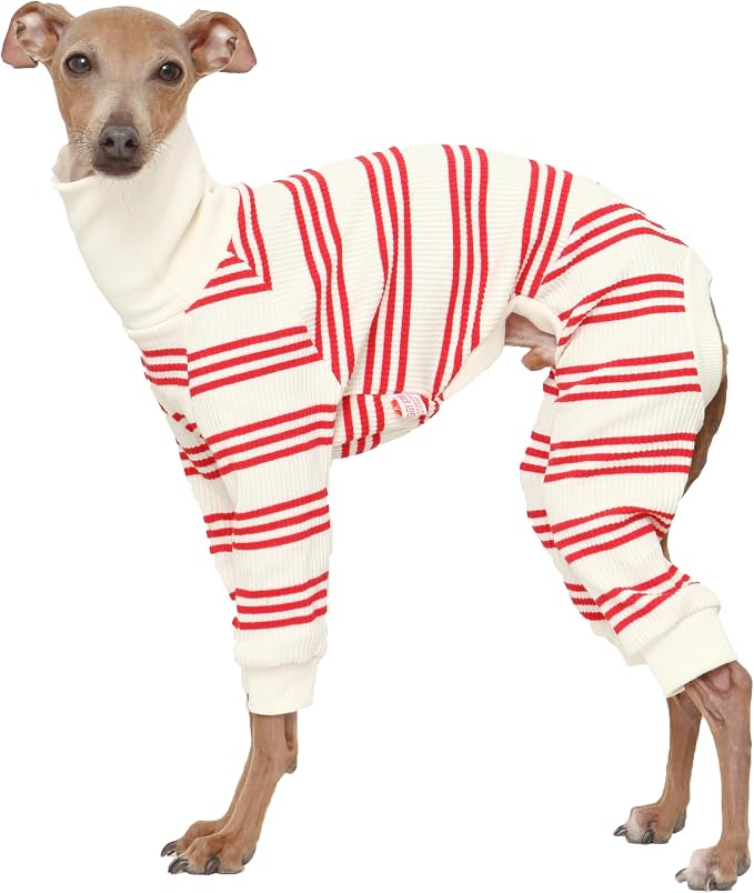 D Doggy Star Italian Greyhound Clothes Soft Stretchy Onesie Refined Stripe Outfit Whippet for Dog Coat (L,Onsi Red Str)