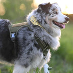 AUROTH Tactical Dog Harness for Large Dogs No Pull Adjustable Pet Harness Reflective K9 Working Training Easy Control Pet Vest Military Service Dog Harnesses