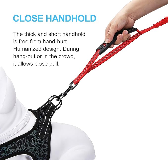 6FT Highly Reflective Heavy Duty Elastic Bungee Medium and Large Dog Leash Shock Absorbing with Comfortable Padded Handle and Traffic Handle Suitable for Training Red