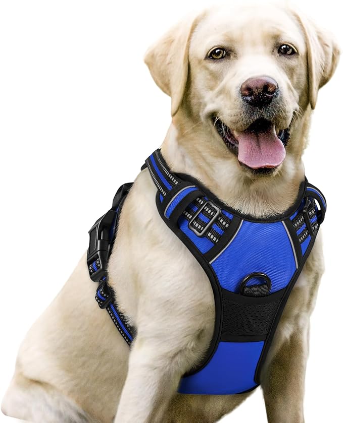 rabbitgoo Dog Harness, No Pull for Large Dogs with 2 Leash Clips, Pet Vest | No Choke with Handle, Adjustable Soft Padded, Reflective, Easy Control for Walking, Dazzling Blue, Large