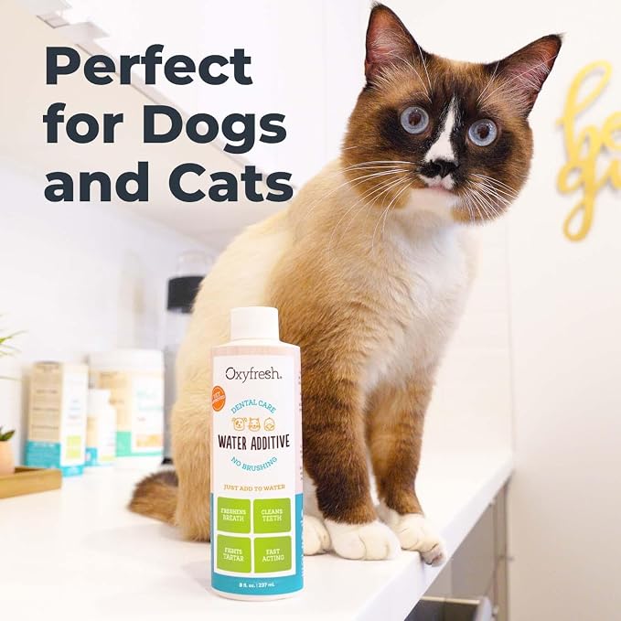 Oxyfresh Premium Pet Dental Care Solution Pet Water Additive: Best Way to Eliminate Bad Dog Breath and Cat Bad Breath - Fights Tartar & Plaque - So Easy, Just Add to Water! Vet Recommended 16 oz. | Perfect to Eliminate Bad Dog Breath and Cat Bad Breath...