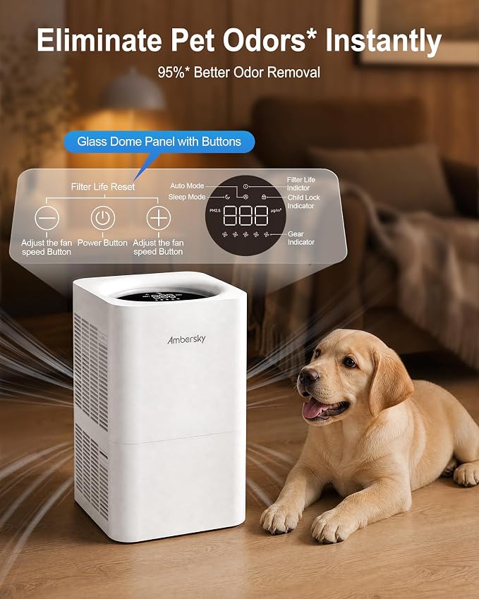 Ambersky Air Purifier for Home, Ture HEPA Filter for Large Room 2500 Ft² | Real-Time AQI & PM2.5 Display, Sleep Mode & 5 Fan Speeds, 360° Air Cleaner for Pet Hair, Smoke, Dust, Odor