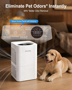 Ambersky Air Purifier for Home, Ture HEPA Filter for Large Room 2500 Ft² | Real-Time AQI & PM2.5 Display, Sleep Mode & 5 Fan Speeds, 360° Air Cleaner for Pet Hair, Smoke, Dust, Odor