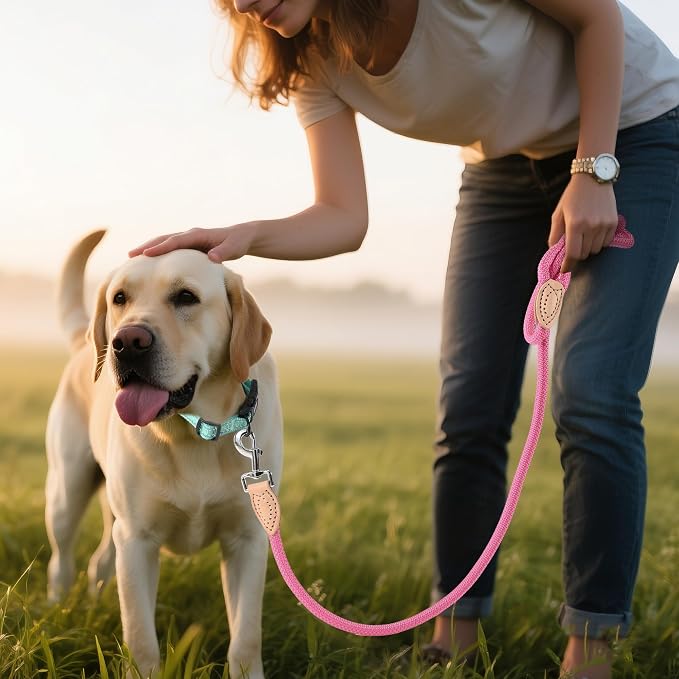 Mile High Life Dog Leash with Genuine Leather Connection, Reflective | Rope Leash, Heavy Duty 360° Swivel Metal Clasp, for Small Medium & Large Dogs Walking (Hot Pink, 48 Inch-1/2)