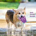 No Stuffing Dog Toys -8 Pack Squeaky Dog Crinkle Toys for Small Medium Dogs | Interactive Durable Plush Dog Toys,Cute Textured Animals Stuffless Pet Squeaky Toys for Puppy Teething Chewing