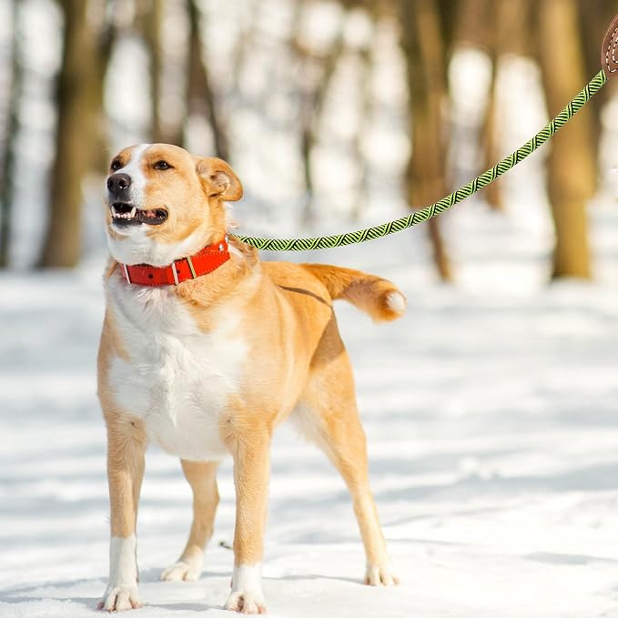 Mile High Life Dog Leash with Genuine Leather Connection, 6 FT/5 FT/4 FT | Rope Leash, Heavy Duty 360° Swivel Metal Clasp, for Small Medium & Large Dogs (Lime Green, 48 Inch)