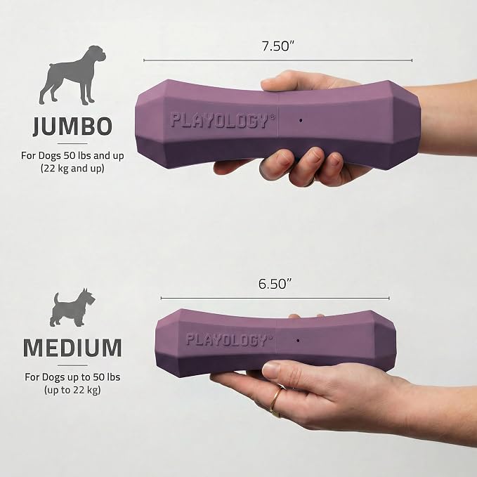 Playology Dog Toys | Squeaky Chew Stick for Dogs, Value 2-Pack | Bacon Scented Medium Fetch Toy | Squeaky Dog Chew Toys
