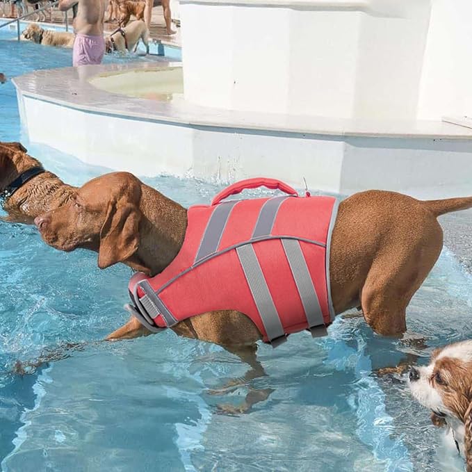 Kuoser Reflective Dog Life Jacket, Dog Life Vest for Swimming Boating | Adjustable Pet Lifejackets, High Flotation Doggie Swimsuit with Rescue Handle for Small Medium Large Dogs