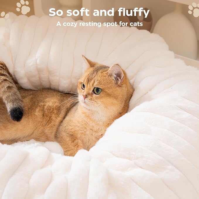 Avont Cat Tunnel Bed for Indoor Cats, Beige | Cat Donut Tunnel Toys | Folds Into a Cozy Bed | 3 Shapes: Donut, C, S | 9.8in Large Cats | 2 Peek Holes & 2 Toy Balls