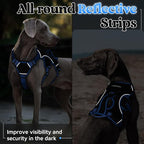 rabbitgoo Escape Proof Dog Harness for Medium, No Pull with Lift Handle | No Escape, Full Soft Padded, Reflective Adjustable Vest, Leash Clip for Walking Hiking Training, Blue & Black, Medium