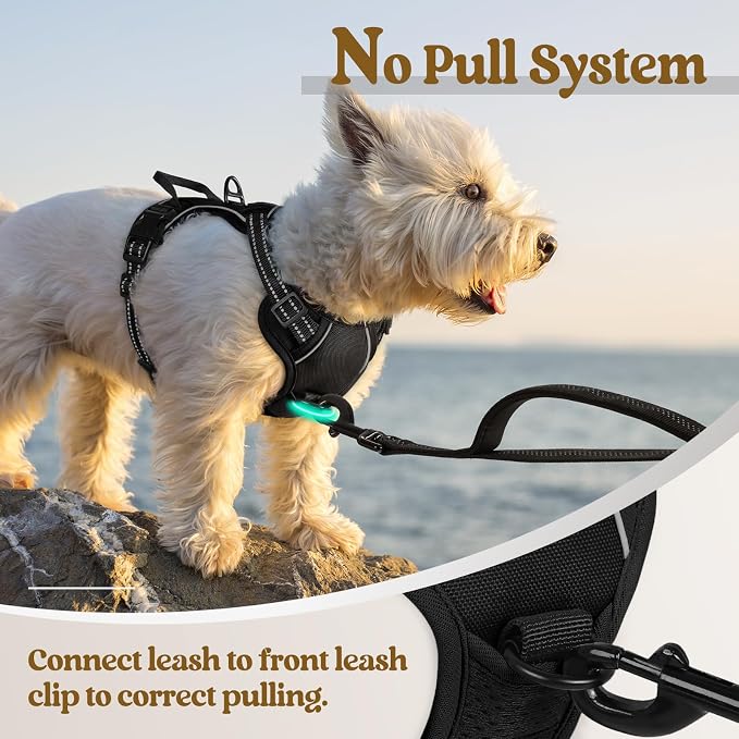 rabbitgoo Dog Harness No Pull with 2 Leash Clips, Adjustable Soft Padded, Reflective Oxford No Choke Pet Vest with Easy Control Handle for Puppy, Black, XS | No Choke with Handle, Adjustable Soft Padded, Reflective, Easy Control for Walking, Black, X-S...