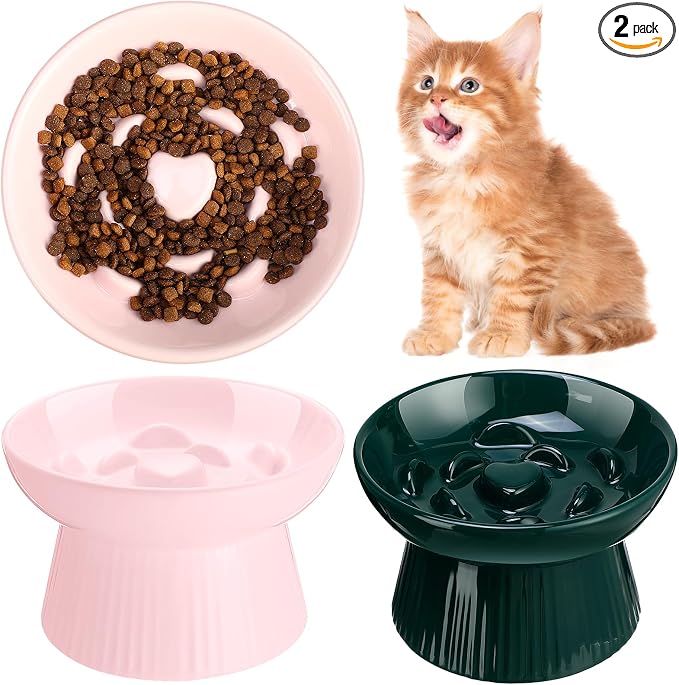 Tioncy 2 Pcs Ceramic Elevated Slow Feeder Cat Bowl, Raised Cat Slow Feeder Bowl, Anti Vomiting for Dry and Wet Food, No Spill High Edge Easy Clean Dishwasher Safe (Pink,Dark Green)