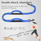 iYoShop Hands Free Dog Leash with Zipper Pouch, Dual Padded Handles and Durable Bungee for Walking, Jogging and Running Your Dog (Large, 25-120 lbs, Royal Blue)
