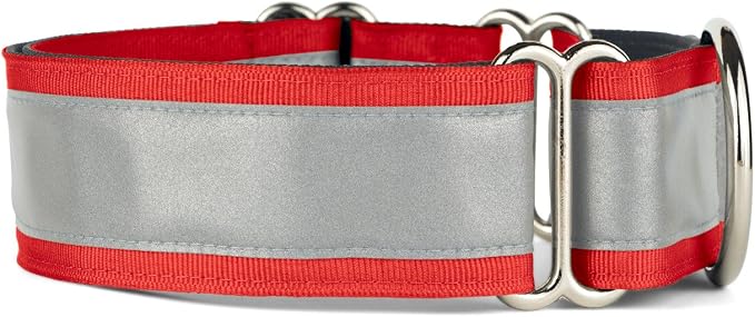 If It Barks - 1.5" Reflective Martingale Collar for Dogs - Adjustable - Made in USA - Strong, Durable, and Comfy - Ideal for Training - Suitable for Most Breeds - Medium, Red