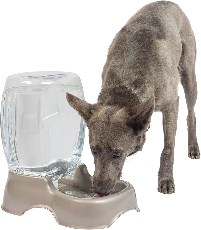 Petmate Pet Cafe Cat and Dog Water Dispenser - Water Bowl for Cats and Dogs, USA Made, 3 GAL, Pearl Tan