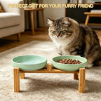 Shallow Elevated Cat Bowls with Bamboo Stand, 6.1 Inch Wide Ceramic Cat Dish Whisker Friendly, 2 Pack Pet Food and Water Plates