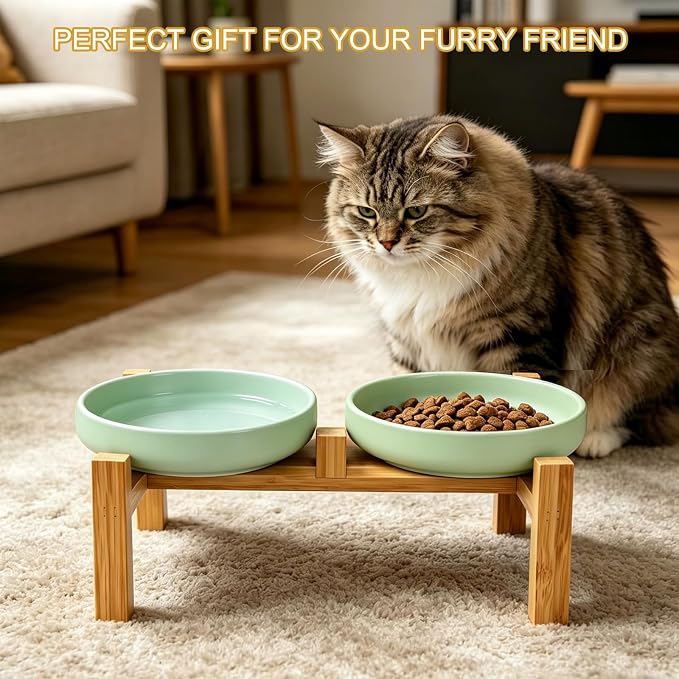 Shallow Elevated Cat Bowls with Bamboo Stand, 6.1 Inch Wide Ceramic Cat Dish Whisker Friendly, 2 Pack Pet Food and Water Plates