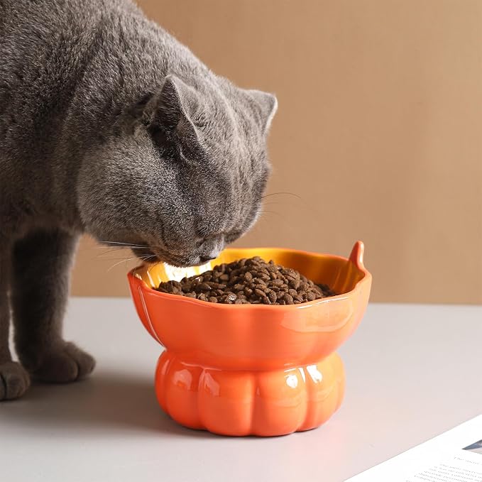 Cute Pumpkin Shaped Raised Ceramic Cat Water Bowl, 9 oz | Whisker Friendly, Anti Vomiting, Elevated Design, Indoor Cats