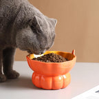 Cute Pumpkin Shaped Raised Ceramic Cat Water Bowl, 9 oz | Whisker Friendly, Anti Vomiting, Elevated Design, Indoor Cats