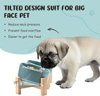 SPUNKYJUNKY 15° Slanted Ceramic Dog and Cat Bowl with Wooden Stand, Tilted Bulldog Food and Water Bowl No Slip Non-Spill for Cats Medium Dogs Big Face Pets 28.7 OZ (3.6 Cups, Light Green × 2)
