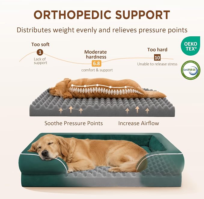 Comfort Expression Orthopedic Dog Beds for Large Sized Dog with Bolster | Waterproof Dog Couch Bed with Washable Cover & Non-Slip Bottom, Supportive Egg Crate Foam Large Pet Bed, 36x27 Inch