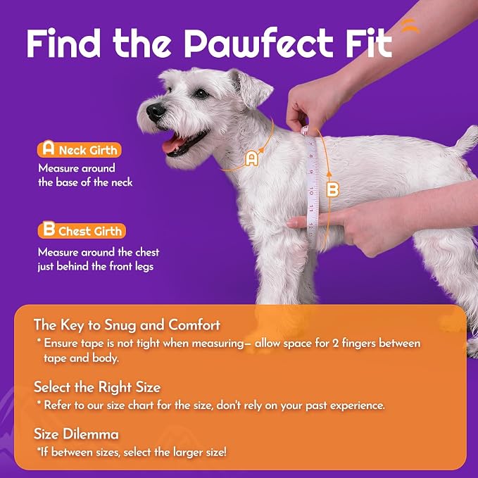 Eagloo Small Dog Harness and Leash Set, Step in Extra Small Puppy Pet Vest | Light, Soft, Breathable Air Mesh, Easy on and off with Hook & Loop, Reflective for Safe Walking, Purple, XXS