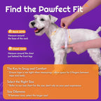 Eagloo Small Dog Harness and Leash Set, Step in Medium Small Puppy Pet Vest | Light, Soft, Breathable Air Mesh, Easy on and off with Hook & Loop, Reflective for Safe Walking, Purple, L