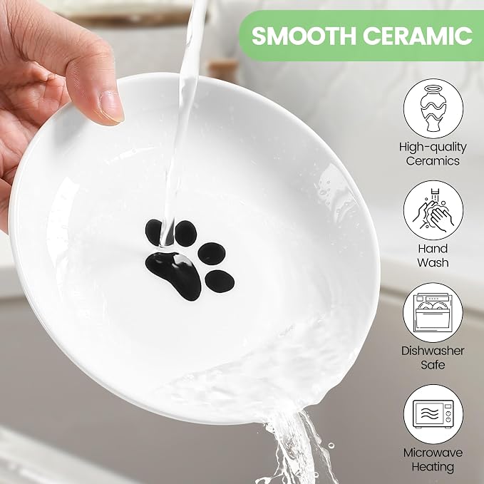 Ceramic Cat Bowls, 2 Pack - Raised, Whisker Friendly, Anti-Vomiting Cat Food Plates - Hygienic, Secure Material, Elegant Stand, 10 oz, for Indoor Cats & Kittens