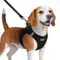 Eagloo Small Dog Harness and Leash Set, Step in Medium Small Puppy Pet Vest | Light, Soft, Breathable Air Mesh, Easy on and off with Hook & Loop, Reflective for Safe Walking, Black, M