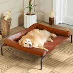 RRPETHOME Large Elevated Cooling Dog Bed,Raised Cots Beds,Outdoor Dog Bed,Chew Proof Portable Cooling Pet Cot Skid-Resistant Feet,Frame with Breathable Mesh