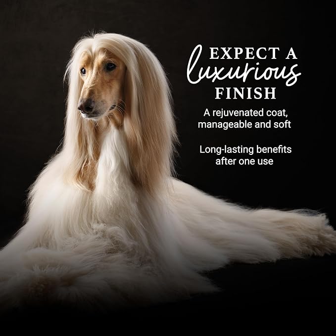 iGroom Deshedding & Detangling Dog Conditioner, Luxury Pet Beauty Care, Loosen Tangles + Unwanted Undercoat, Adds Shine + Volume, Made in USA (1 GAL)