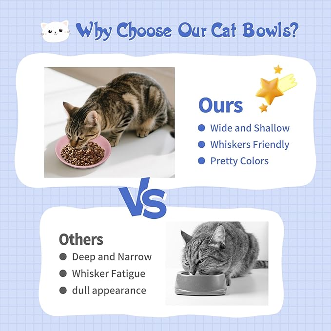 [8 Pack] Ceramic Cat Food Bowl, Colorful Cat Bowls Whisker-Friendly, 5.9" Shallow Wide Kitten Plates, Easy to Clean Indoor Feeding Dishes