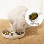 Slow Feeder Bowl for Cats and Small Dogs,Cilkus Fish Pool Design, Fun Interactive Bloat Stop Puzzle Feeder Bowl Healthy Eating Diet Made of Melamine Food Grade Material