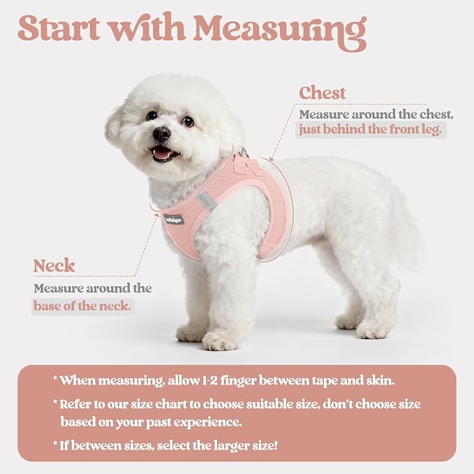 rabbitgoo Dog Harness Medium Sized and Leash Set, Step-in Puppy Pet Vest | Light, Soft, Breathable Air Mesh, Easy on and Remove with Hook & Loop, Secure Reflective for Walking, Pink XL