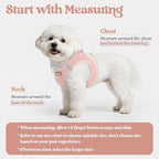 rabbitgoo Dog Harness Small Sized and Leash Set, Step-in Puppy Pet Vest | Light, Soft, Breathable Air Mesh, Easy on and Remove with Hook & Loop, Secure Reflective for Walking, Pink XXXS