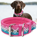 Dog Collar for Large Dogs,2 in Wide Heavy Duty,Pressure-Relief Padded, A-M | Professional Protection for Large and Giant Breeds,Handle for Control,Stainless Steel Buckle Ultra Safety,20-23 in