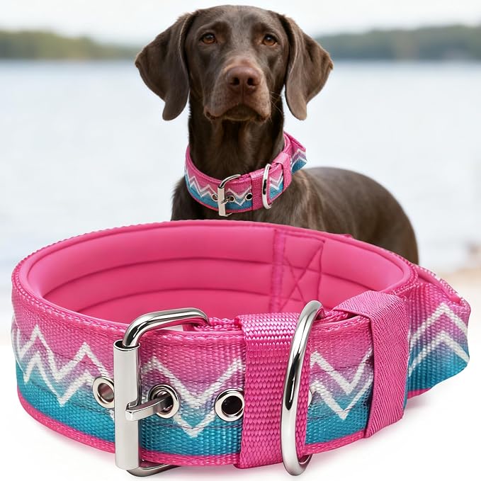 Dog Collar for Large Dogs,2 in Wide Heavy Duty,Pressure-Relief Padded, A-M | Professional Protection for Large and Giant Breeds,Handle for Control,Stainless Steel Buckle Ultra Safety,20-23 in