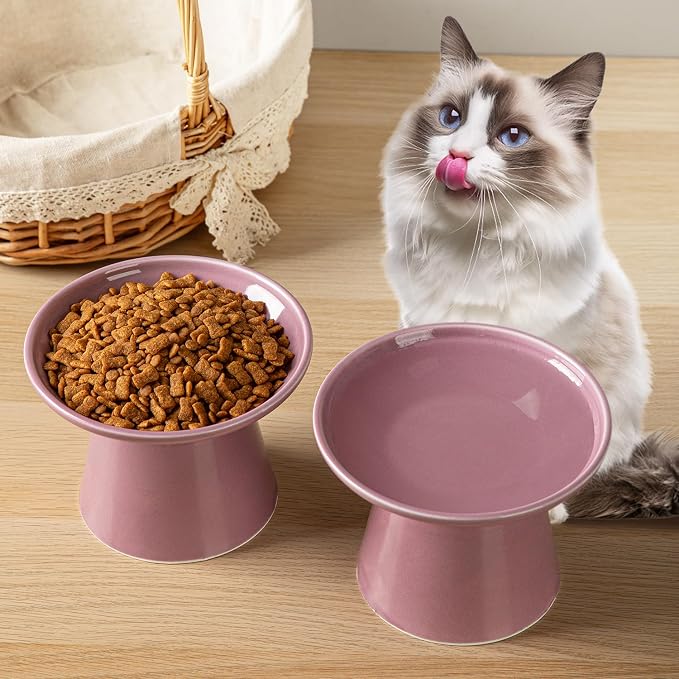 Ceramic Elevated Cat Bowls - 6.2 Inch Extra Wide Raised Cat Food and Water Bowl Set for Indoor Cats, Whisker-Friendly Ceramic Cat Dish for Elder Big Cats & Small Dogs,Dark Purple,1 Pack