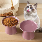 Ceramic Elevated Cat Bowls - 6.2 Inch Extra Wide Raised Cat Food and Water Bowl Set for Indoor Cats, Whisker-Friendly Ceramic Cat Dish for Elder Big Cats & Small Dogs,Dark Purple,2 Pack