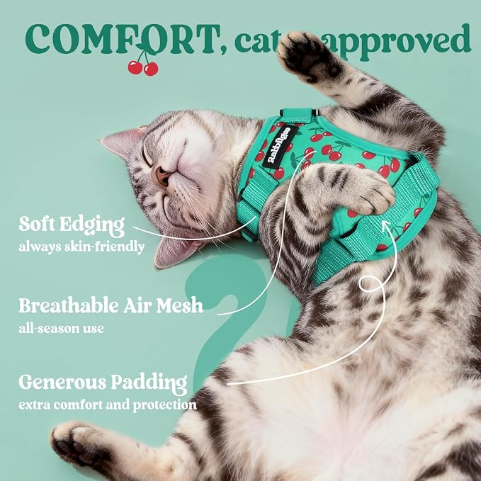 rabbitgoo Cat Harness and Leash Set, Escape Proof Vest, Cherry Grove | Soft Breathable Mesh, Easy Adjustable Fit, Snap Buckles, Sturdy Clip, Reflective Strips, for Medium to Large Cats Walks, M