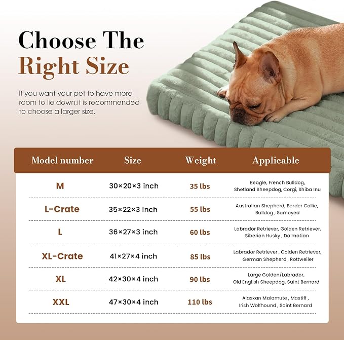 Medium Dog Bed Orthopedic Foam with Waterproof Lining | Egg crate foam for joint support. Soft plush surface. Non-slip bottom. Removable & machine washable cover. OEKO-TEX certified