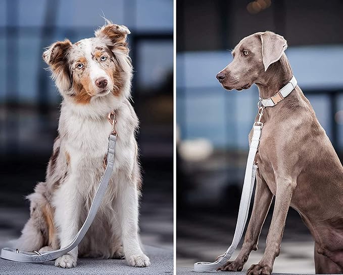 Soft Leather Dog Collar and Leash (6.6') Set - Stylish Rose Gold Heavy Duty Metal Buckle, 4 Adjustable Lengths Leash for Small Medium Large Dogs - Comfortable & Easy to Clean White S(12.2"-16.9")