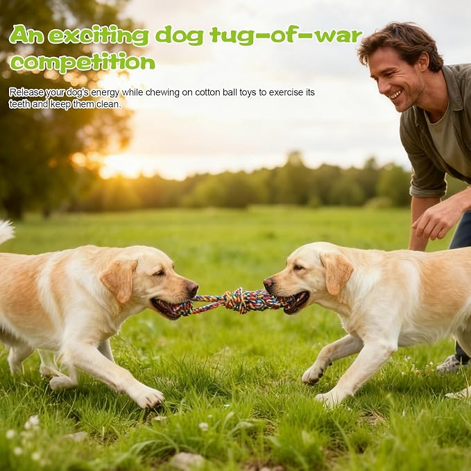Tether Tug Outdoor Dog Toy with Upgraded Steel Stake & Adjustable Safety Rope, Includes 3 Chew Toys , Durable Interactive Tug of War Bungee Rope Toy for Large, Medium & Small Dogs on Lawns or Trees